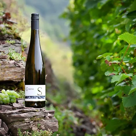 Weingut Clemens Gasthuis Ellenz-Poltersdorf