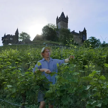 温哥特克莱门斯酒店