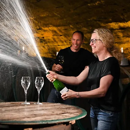 Weingut Clemens Pensjonat Ellenz-Poltersdorf