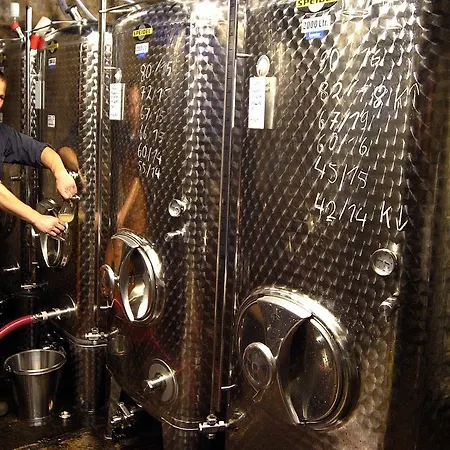 Weingut Clemens Gasthof
