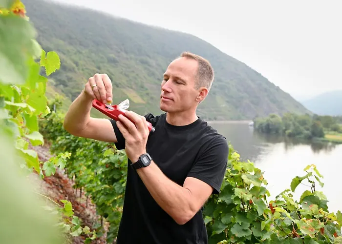 Weingut Clemens Πανσιόν 3*