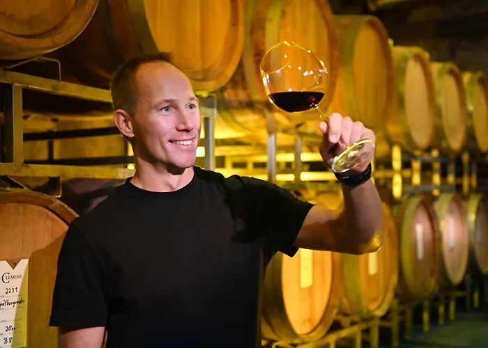 Weingut Clemens 3* Ellenz-Poltersdorf