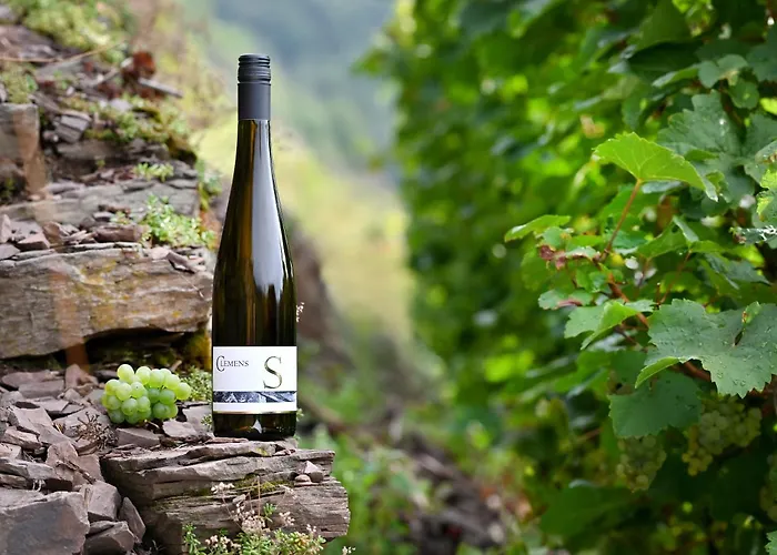 Weingut Clemens Πανσιόν Ellenz-Poltersdorf